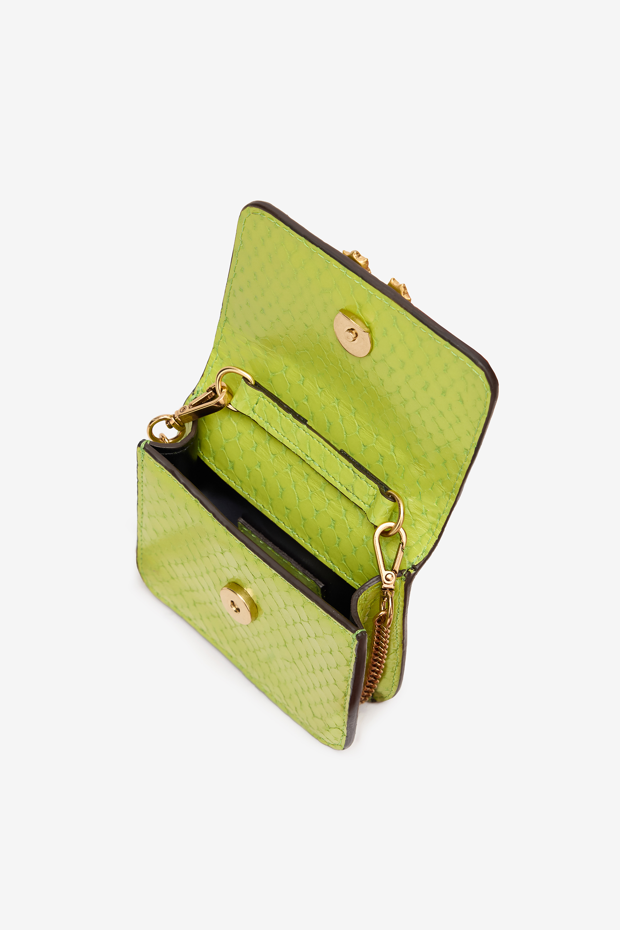 Roberto Cavalli Roar Bag With Bejeweled Tigers In Light Green
