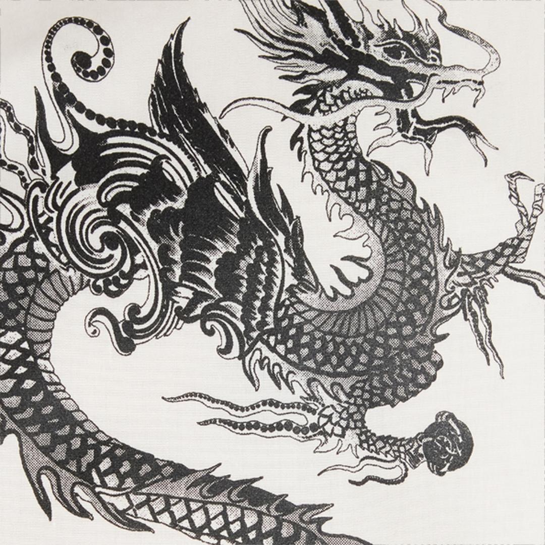 Roberto Cavalli Cotton Shirt With Dragons In White