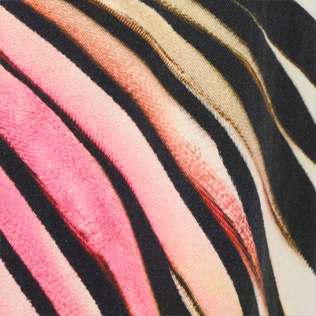 Roberto Cavalli Jeans With Ray Of Pink Print In Pink