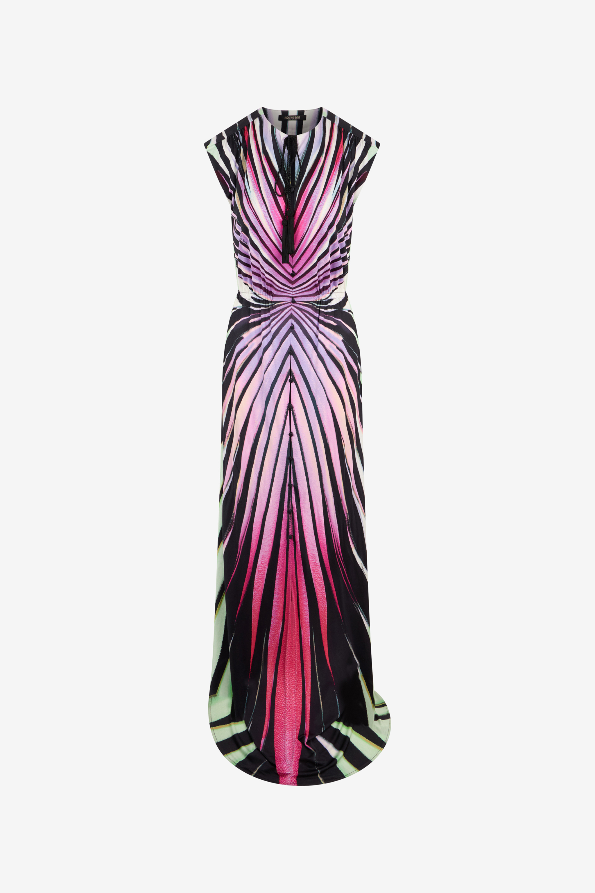 Roberto Cavalli Ray Of Paradise Print Maxi Dress