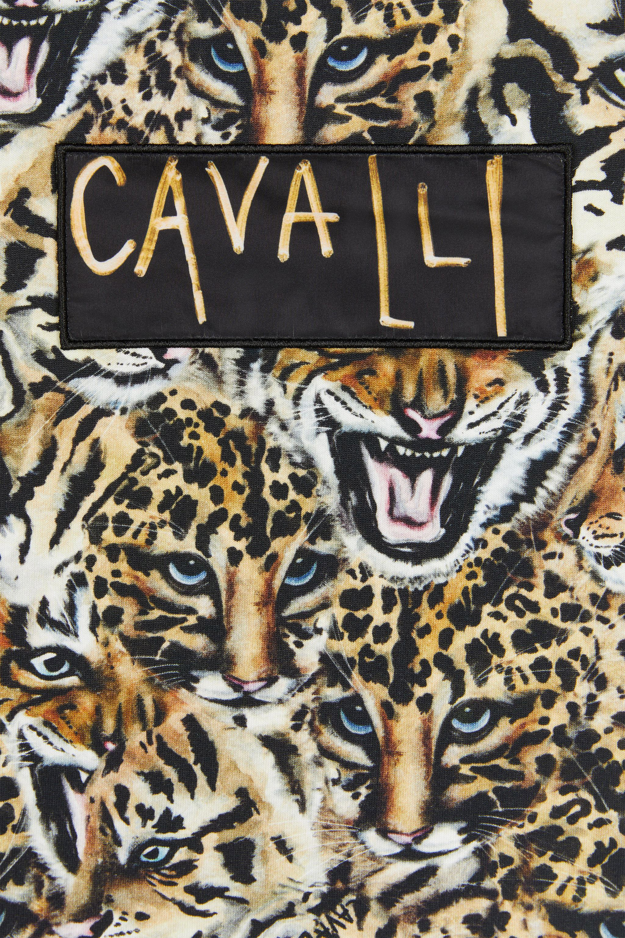 Roberto Cavalli Queen Of Arizona-print T-shirt In Light Brown
